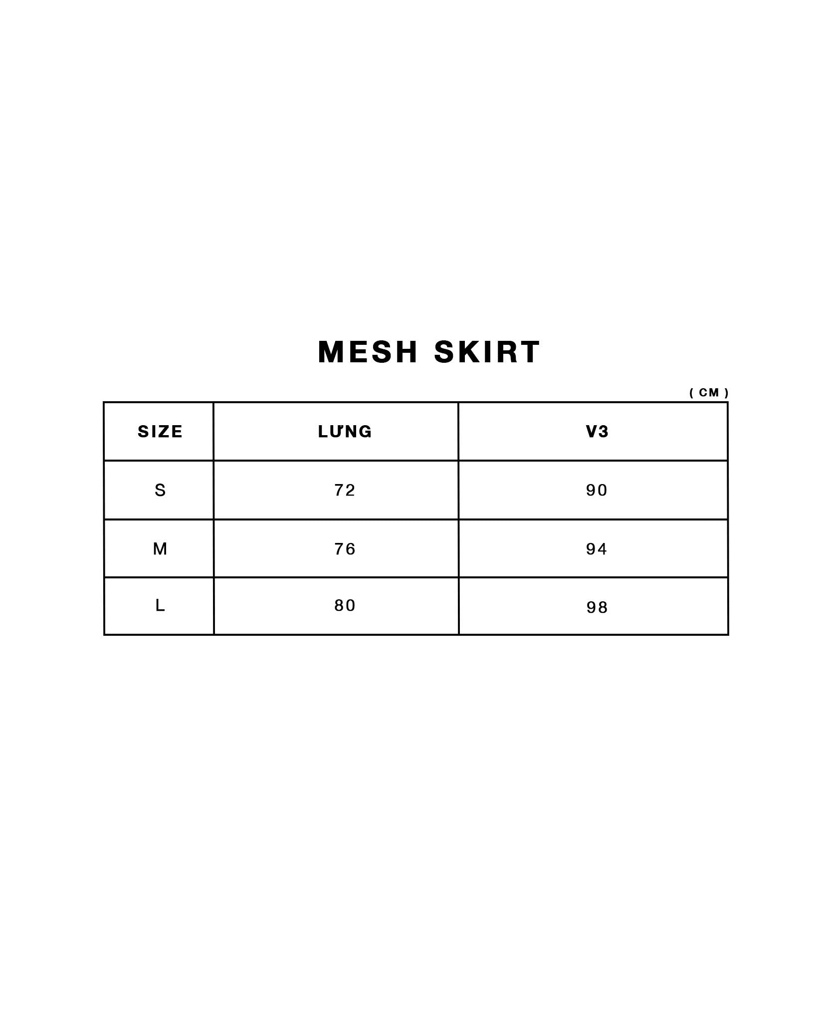 Mesh Skirt